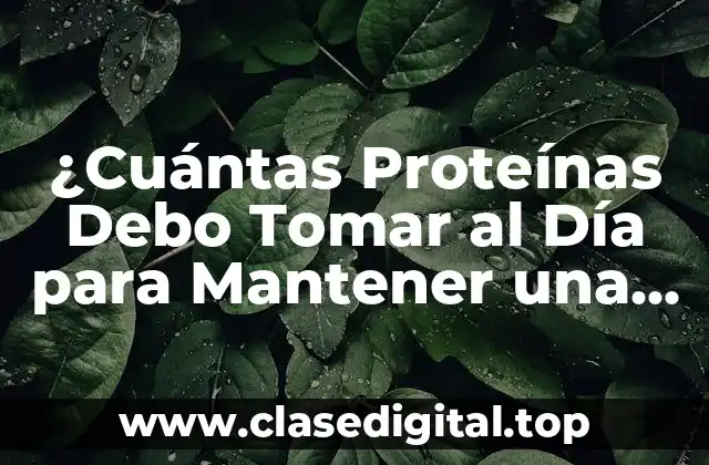 ¿Cuántas Proteínas Debo Tomar al Día para Mantener una Salud Optima?