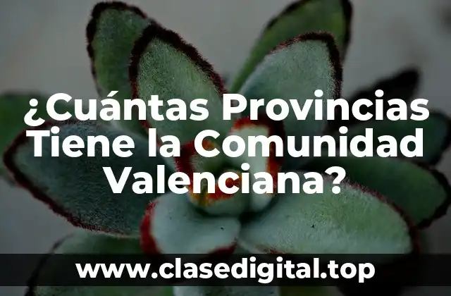 ¿Cuántas Provincias Tiene la Comunidad Valenciana?