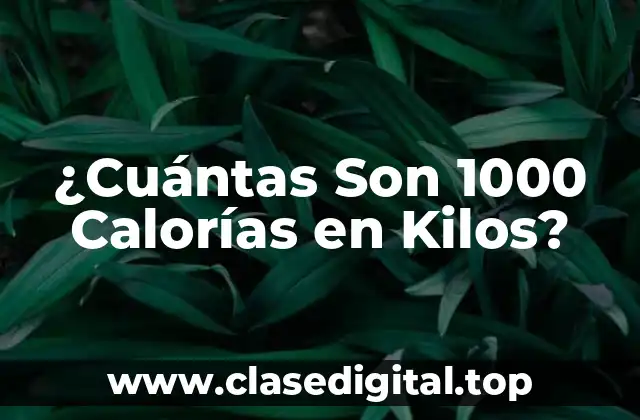 ¿Qué Son las Calorías y Cómo se Relacionan con el Peso?