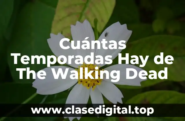 Cuántas Temporadas Hay de The Walking Dead