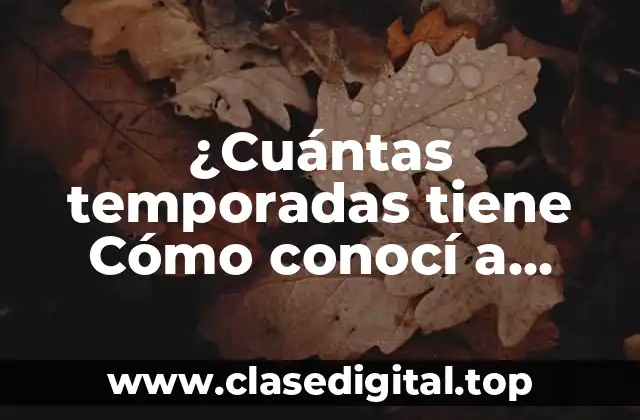 ¿Cuántas temporadas tiene Cómo conocí a vuestra madre?