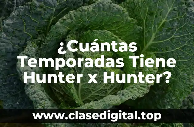 ¿Cuántas Temporadas Tiene Hunter x Hunter?