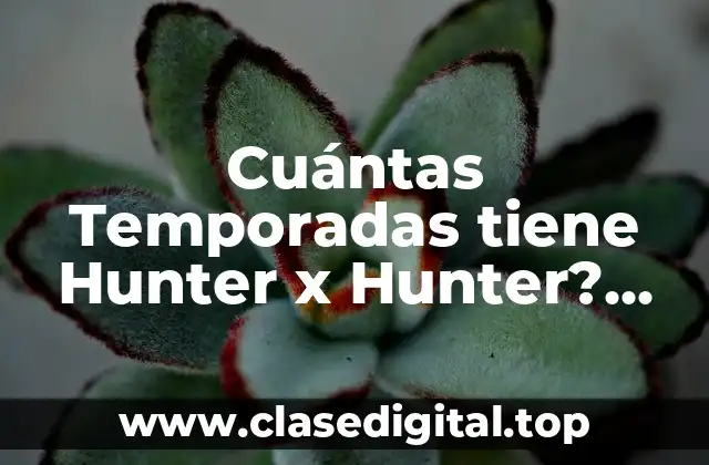 Cuántas Temporadas tiene Hunter x Hunter? Respuestas y Actualizaciones
