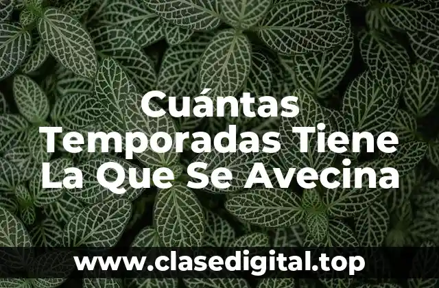 Cuántas Temporadas Tiene La Que Se Avecina