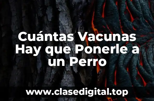 Cuántas Vacunas Hay que Ponerle a un Perro