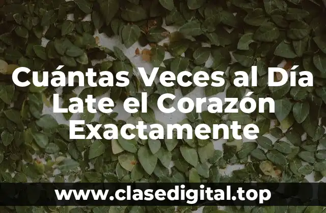 Cuántas Veces al Día Late el Corazón Exactamente