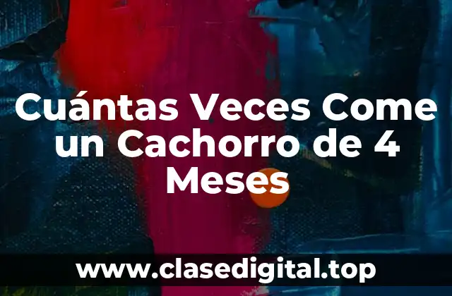 Cuántas Veces Come un Cachorro de 4 Meses