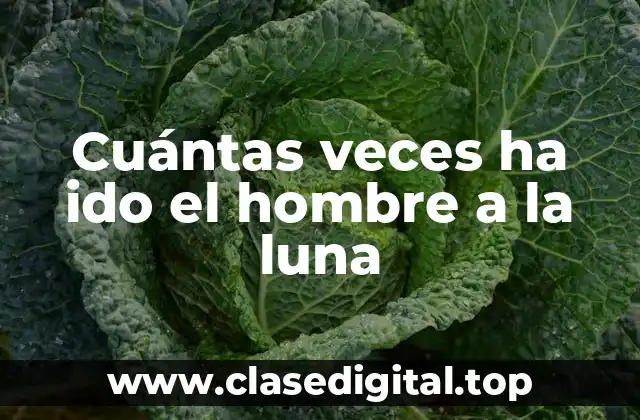 Cuántas veces ha ido el hombre a la luna