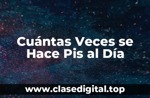 Cuántas Veces se Hace Pis al Día