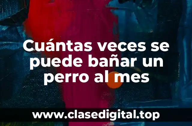 Cuántas veces se puede bañar un perro al mes