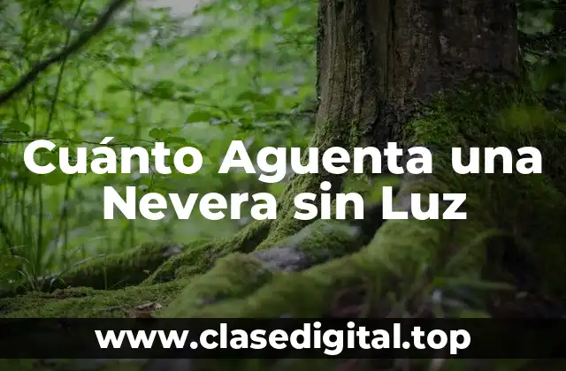 Cuánto Aguenta una Nevera sin Luz