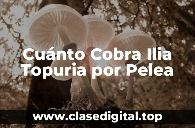 Cuánto Cobra Ilia Topuria por Pelea