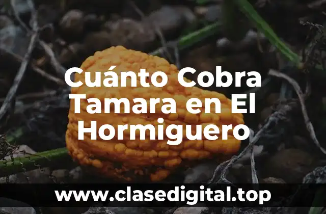 Cuánto Cobra Tamara en El Hormiguero