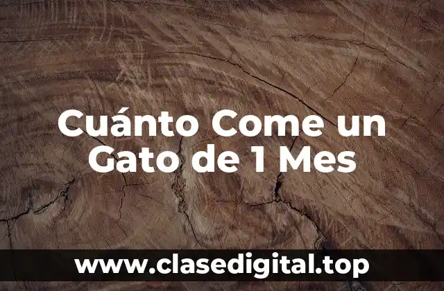 Cantidad de Comida para un Gato de 1 Mes