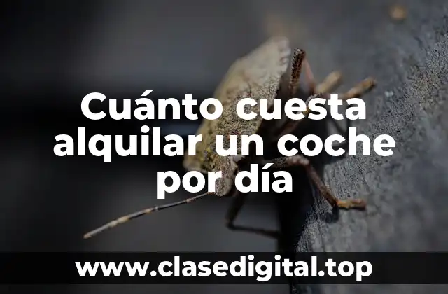 Cuánto cuesta alquilar un coche por día