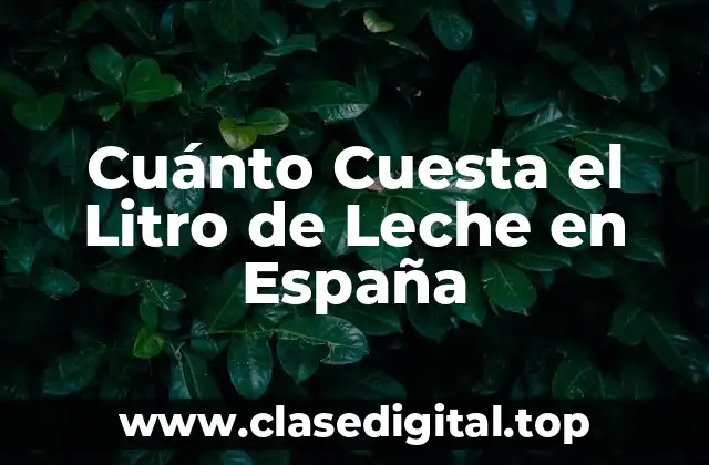 Cuánto Cuesta el Litro de Leche en España