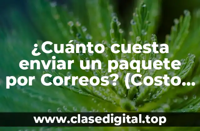 Factores que influyen en el costo de enviar un paquete por Correos