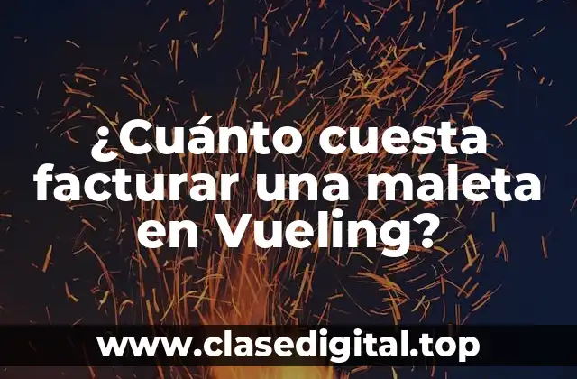 ¿Cuánto cuesta facturar una maleta en Vueling?