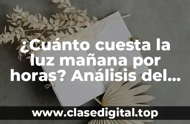 ¿Cuánto cuesta la luz mañana por horas? Análisis del precio de la luz por hora
