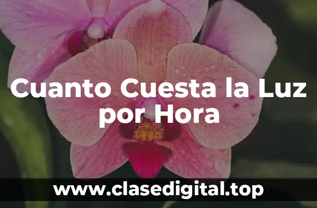 Cuanto Cuesta la Luz por Hora