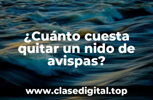 Causas y síntomas de la presencia de un nido de avispas