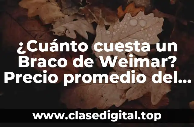 Orígenes y características del Braco de Weimar