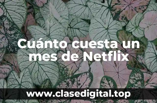 Cuánto cuesta un mes de Netflix