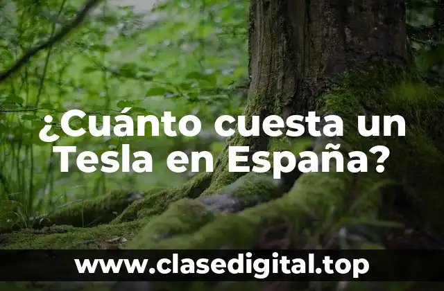 ¿Cuánto cuesta un Tesla en España?