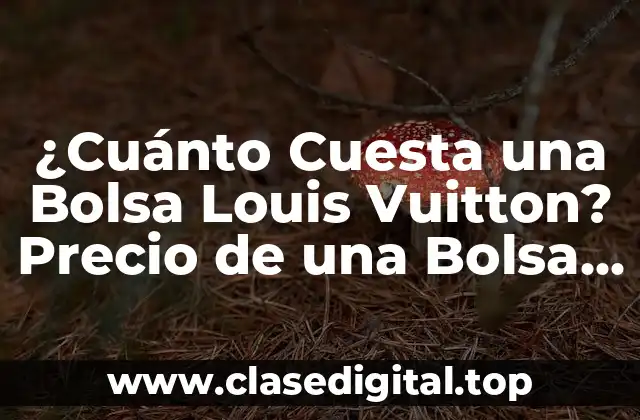 ¿Cuánto Cuesta una Bolsa Louis Vuitton? Precio de una Bolsa LV