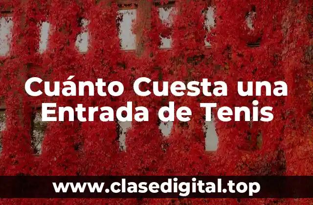 Cuánto Cuesta una Entrada de Tenis