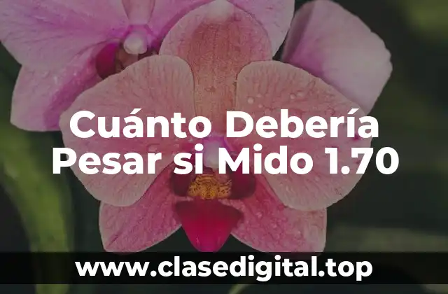 Cómo Calculamos el Peso Ideal