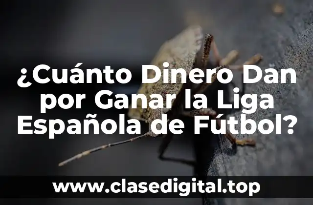 ¿Cuánto Dinero Dan por Ganar la Liga Española de Fútbol?