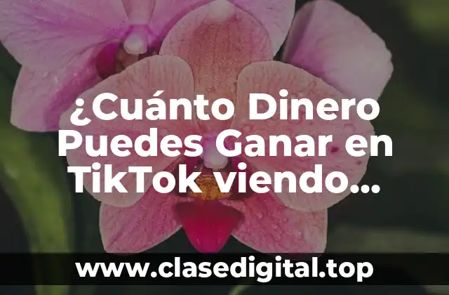 ¿Cuánto Dinero Puedes Ganar en TikTok viendo Videos?