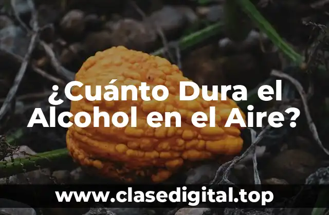 ¿Cuánto Dura el Alcohol en el Aire?