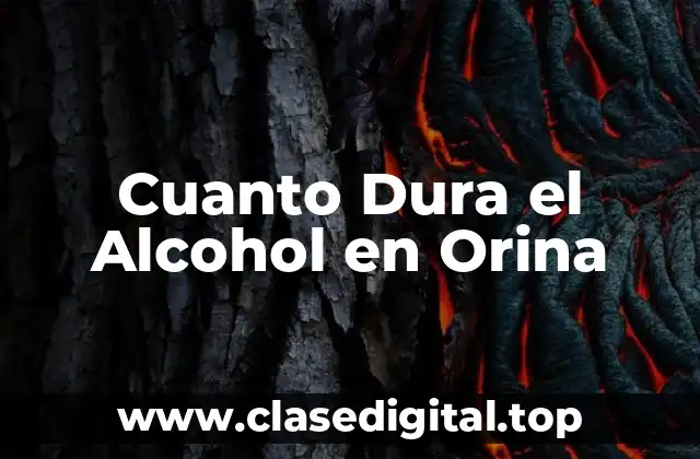 Cómo se Metaboliza el Alcohol en el Cuerpo