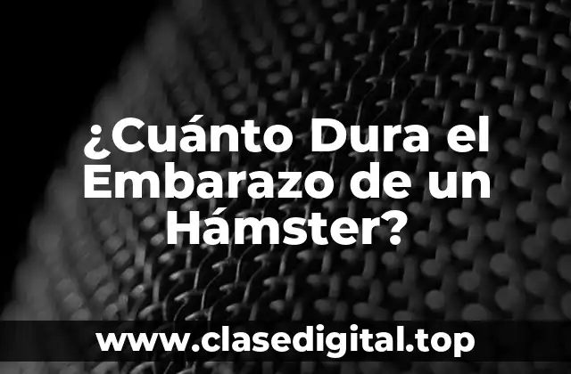 ¿Cuánto Dura el Embarazo de un Hámster?