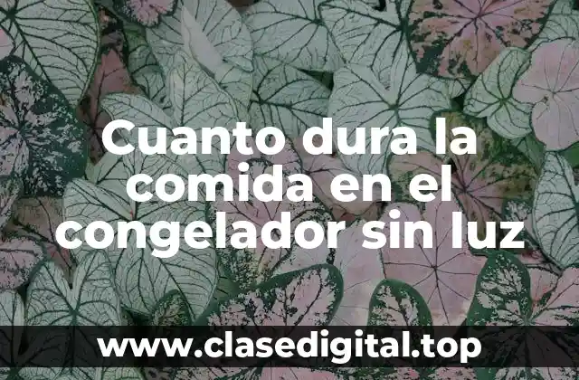 Cuanto dura la comida en el congelador sin luz