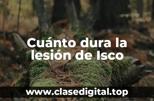 Cuánto dura la lesión de Isco