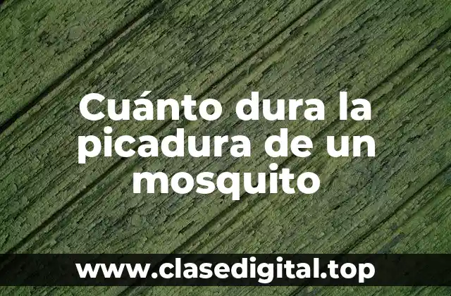 Cuánto dura la picadura de un mosquito