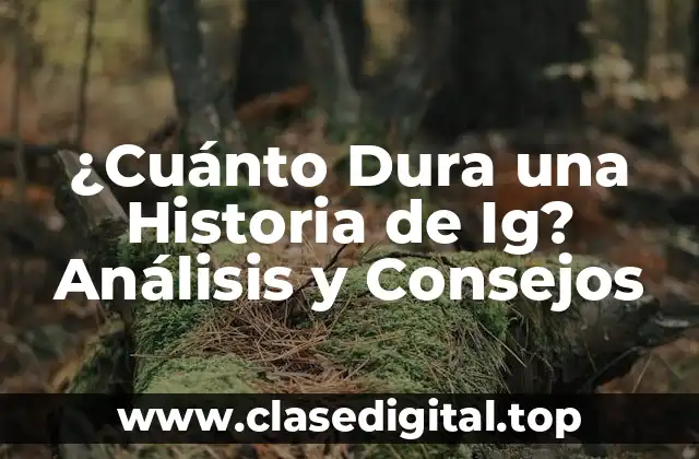 ¿Qué Son las Historias de Instagram?