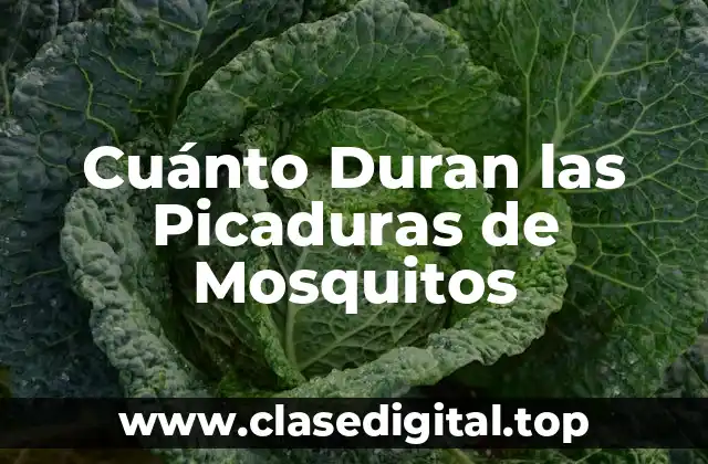 Cómo se Producen las Picaduras de Mosquitos