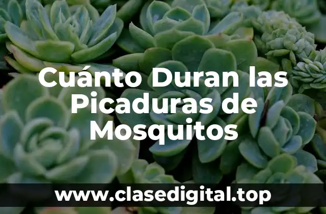 Cuánto Duran las Picaduras de Mosquitos