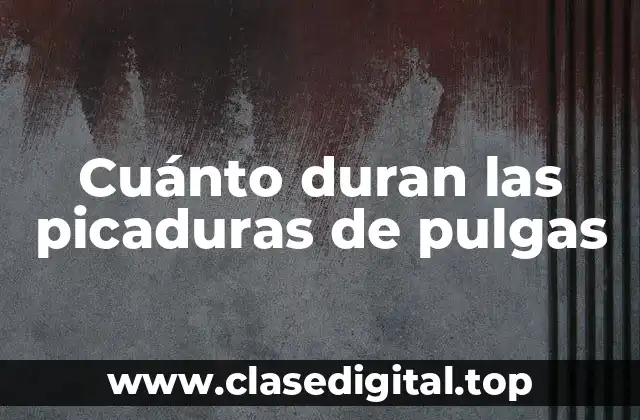 Cuánto duran las picaduras de pulgas