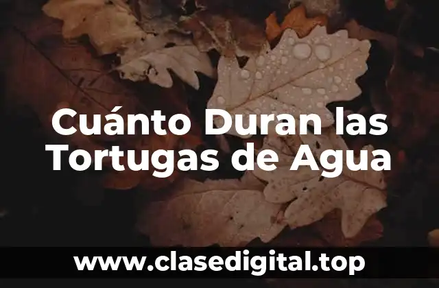 Cuánto Duran las Tortugas de Agua