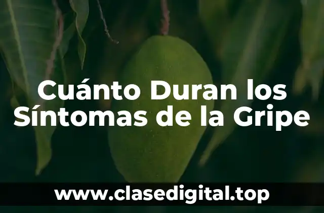 ¿Qué Causa la Gripe?