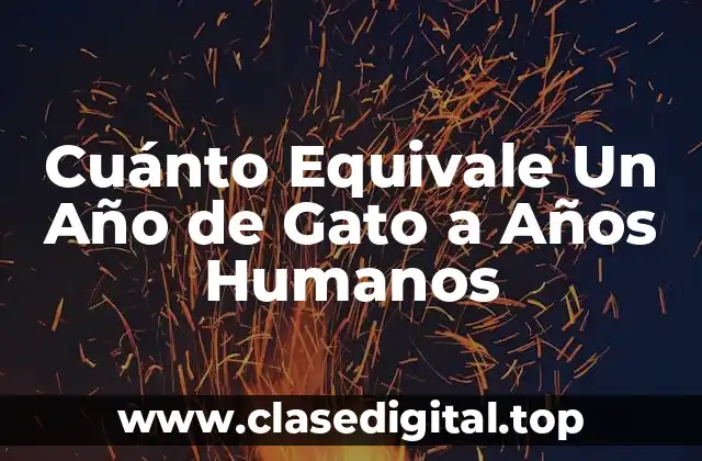 Cuánto Equivale Un Año de Gato a Años Humanos