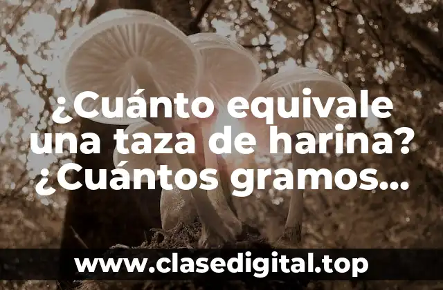 ¿Cuánto equivale una taza de harina? ¿Cuántos gramos hay en una taza de harina?
