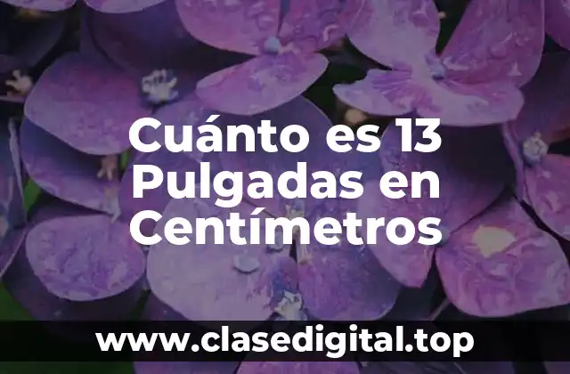 Cuánto es 13 Pulgadas en Centímetros