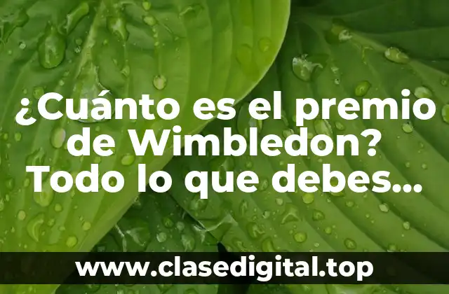 ¿Cuánto es el premio de Wimbledon? Todo lo que debes saber sobre el dinero en el tenis de élite