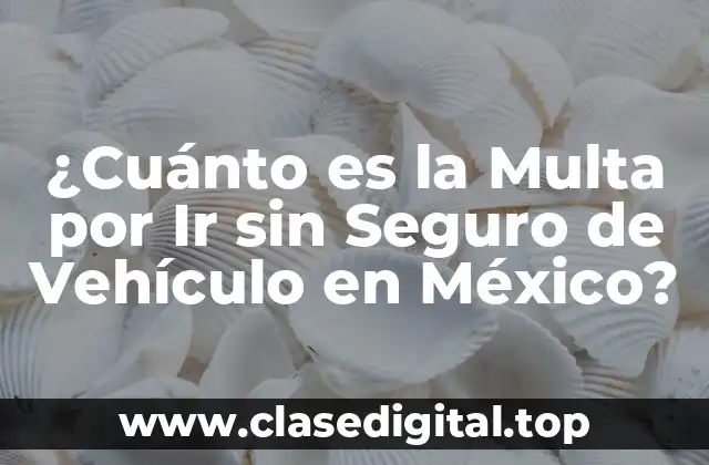 ¿Cuánto es la Multa por Ir sin Seguro de Vehículo en México?